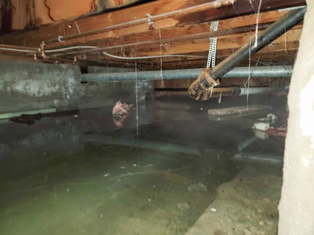 Best Ceiling water damage repair  in Reinholds, PA