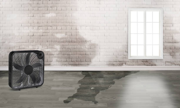  Reinholds, PA Water damage restoration Pros