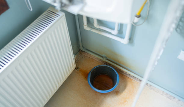 Best Mold removal after water damage  in Reinholds, PA